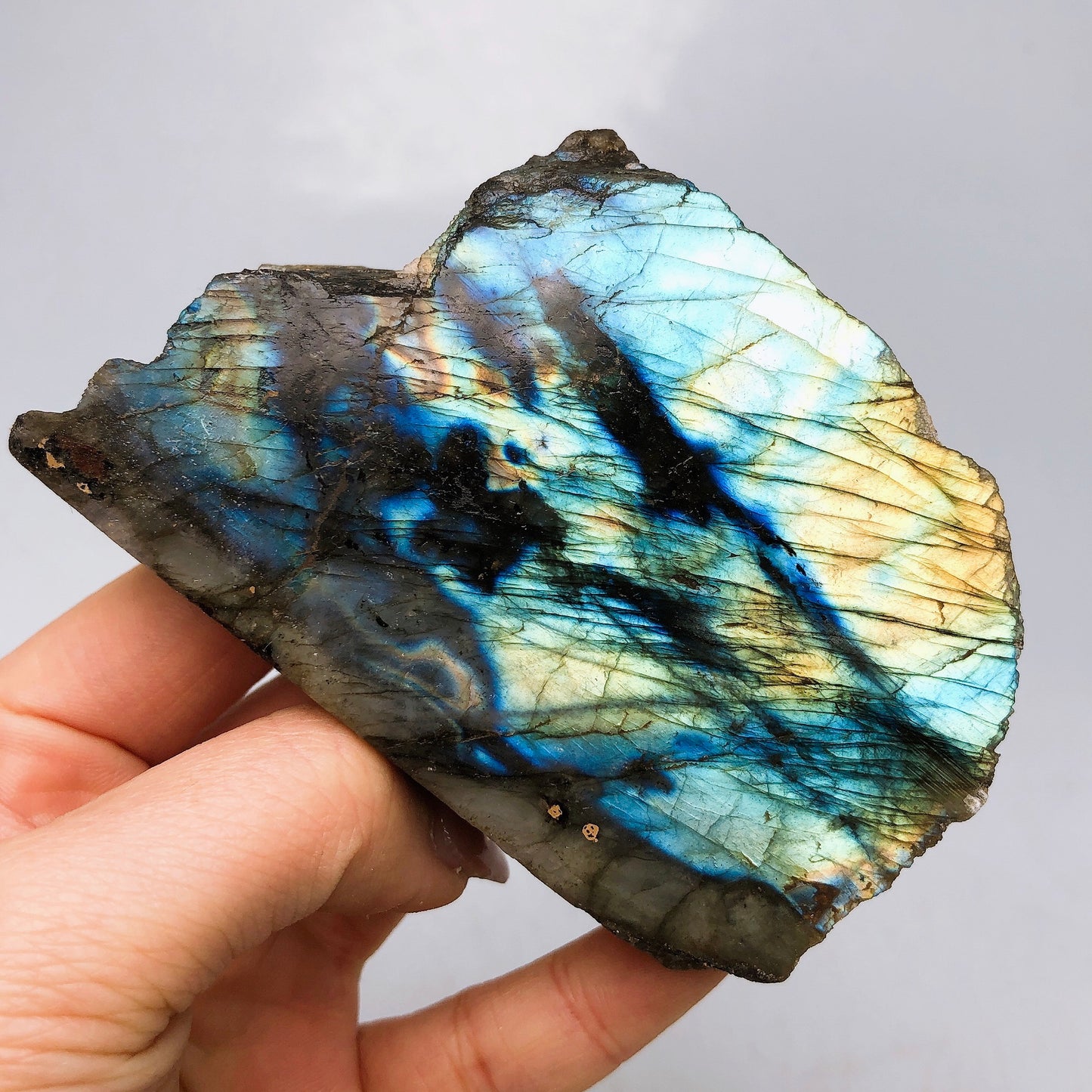 Labradorite slice specimen/Crystal healing/Blue flash mineral rawstone